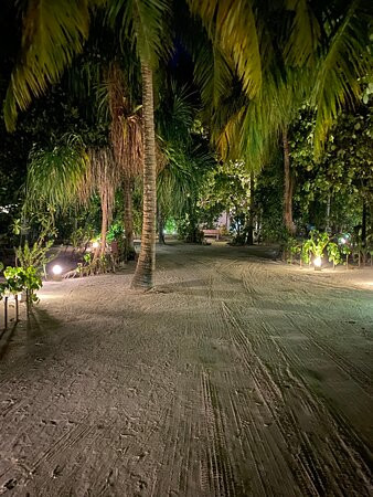 马尔代夫可可尼度假村主图