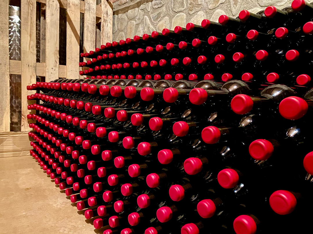 Vellino Wine Cellar景点图片