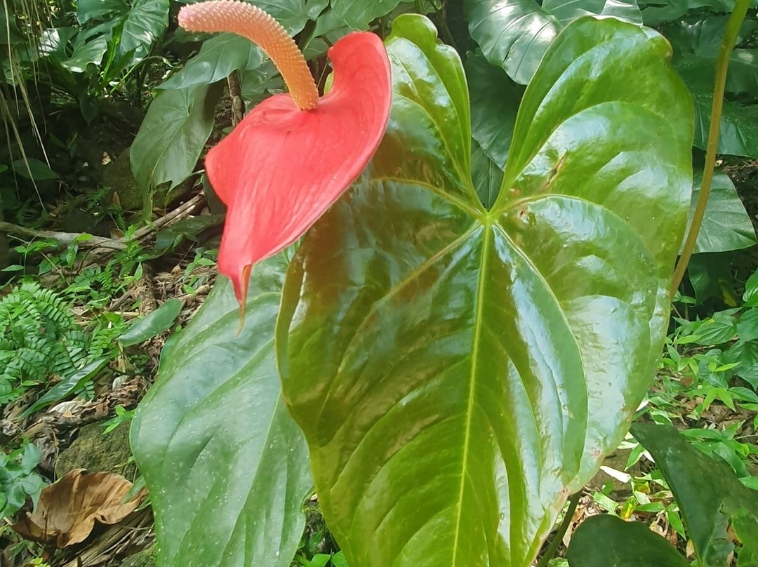Parc De La Source-Bouillante必去景点
