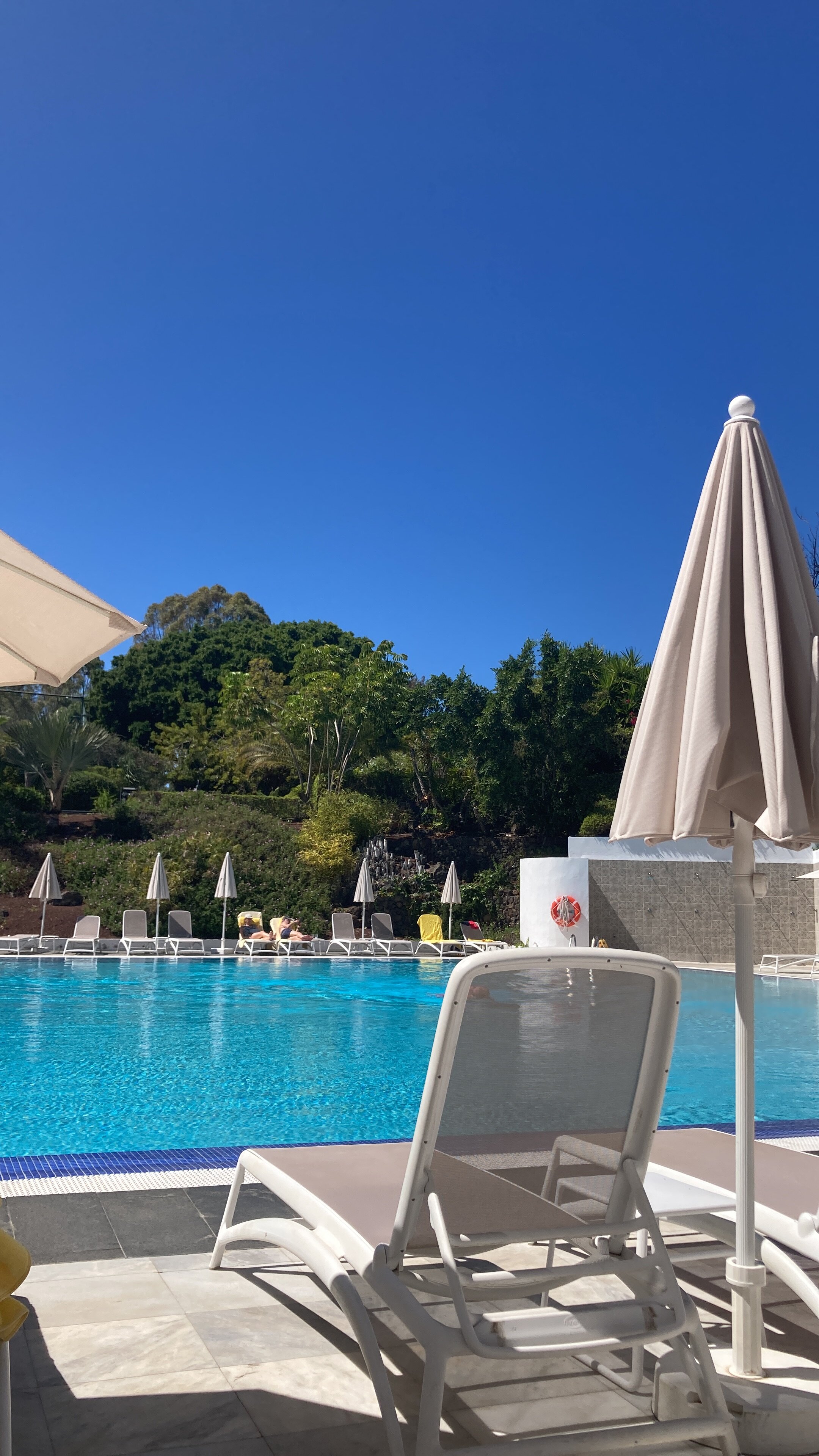 Hotel TRH Taoro Garden-泳池