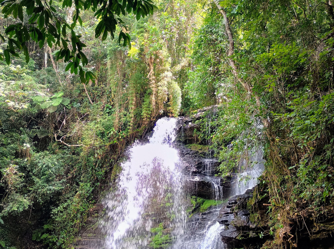 Cachoeira do Macaco Doido-Sao Bartolomeu必去景点