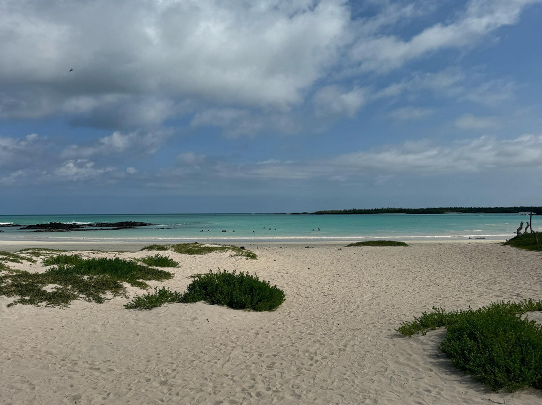 593 Origins - Baltra-Baltra必去景点