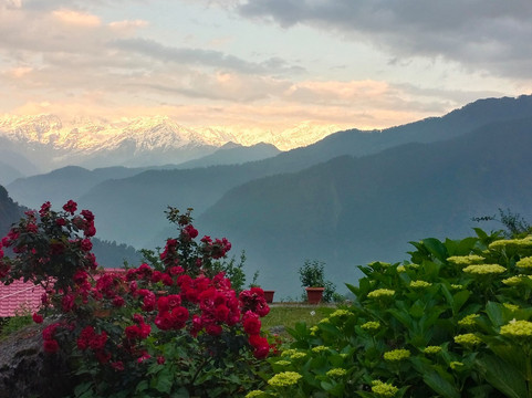 Dayara Bugyal Sarai主图