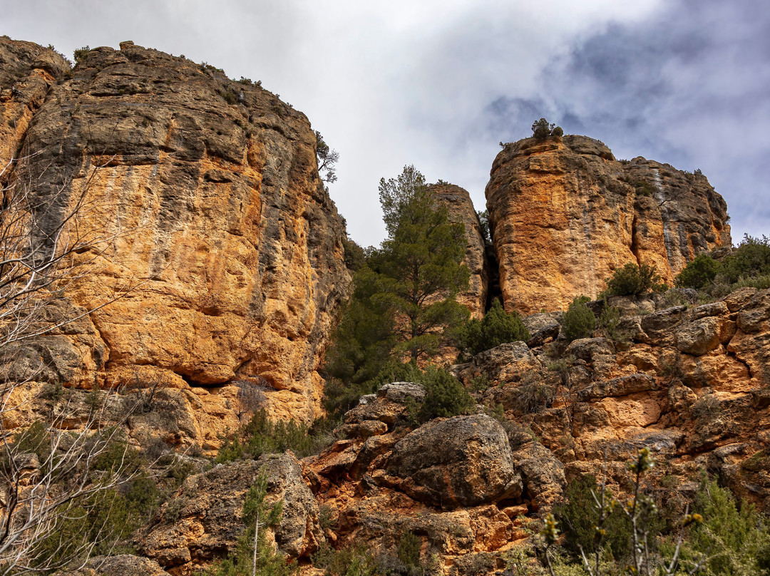 Hosteria La Barbacana主图