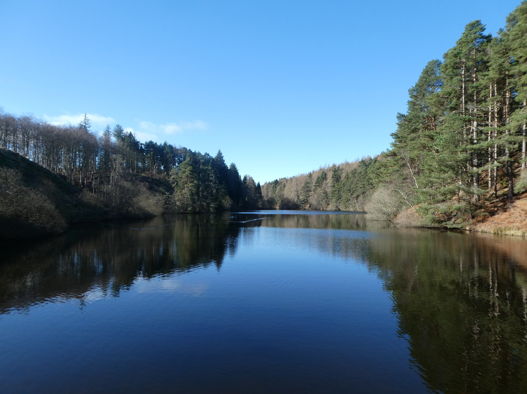 Millbuies Trout Fishery, Moray Fly Fishers-埃尔金必去景点