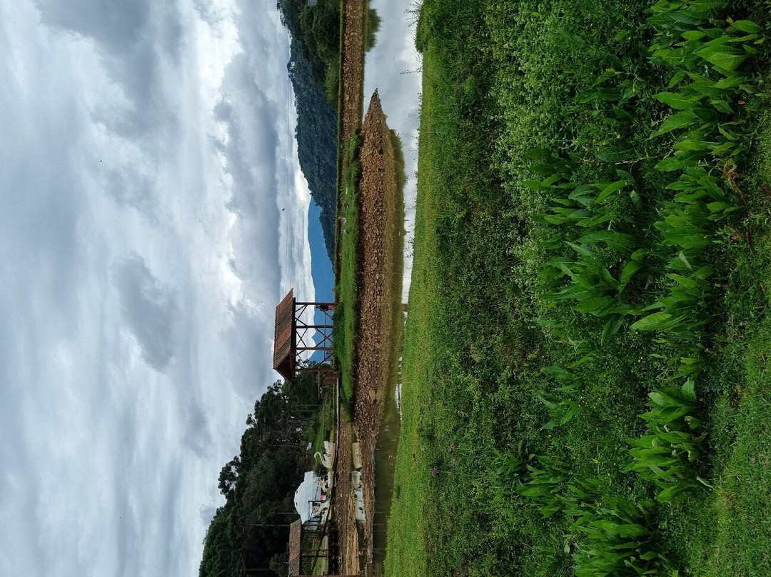 Cachoeira do Avencal-Urubici必去景点