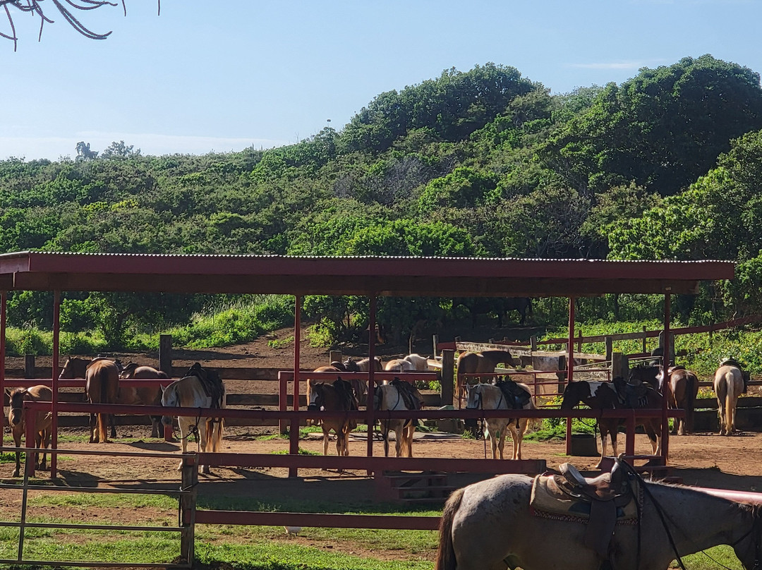 枪托牧场-拉叶必去景点