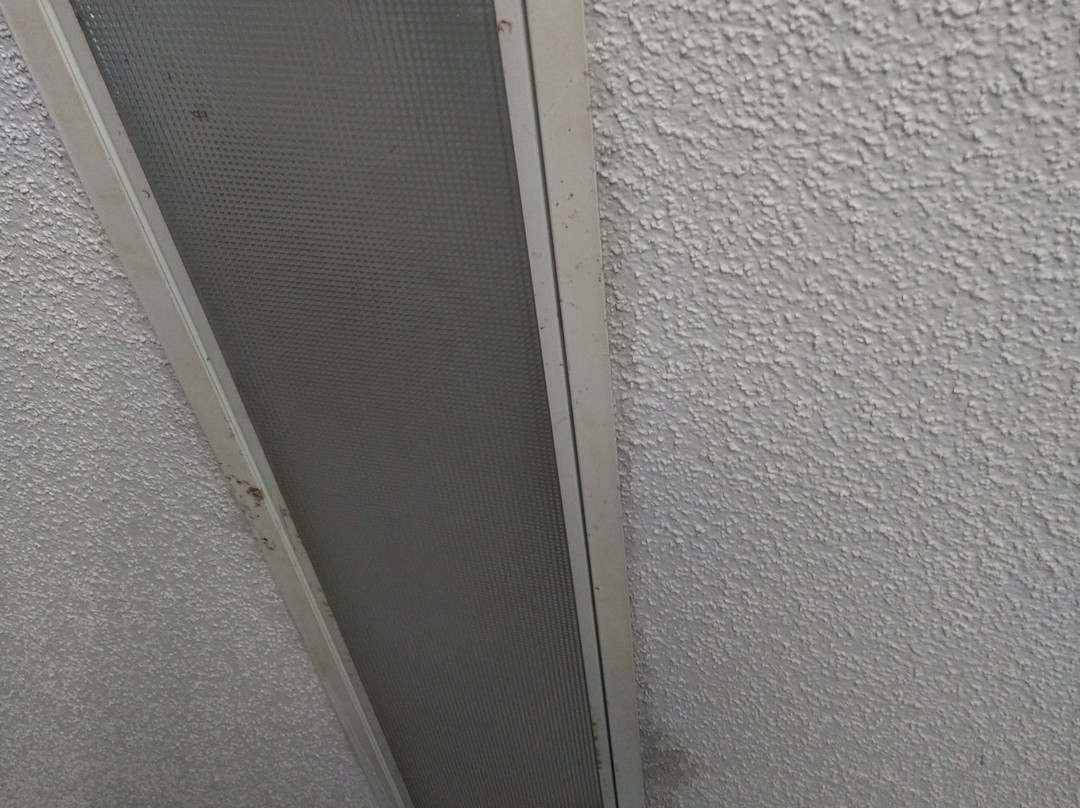 Baymont by Wyndham Prattville主图