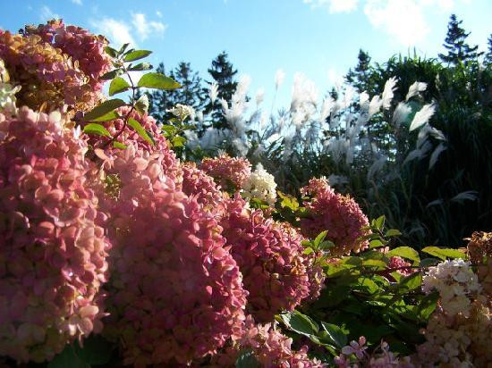 Beside The Trail Bed and Breakfast主图