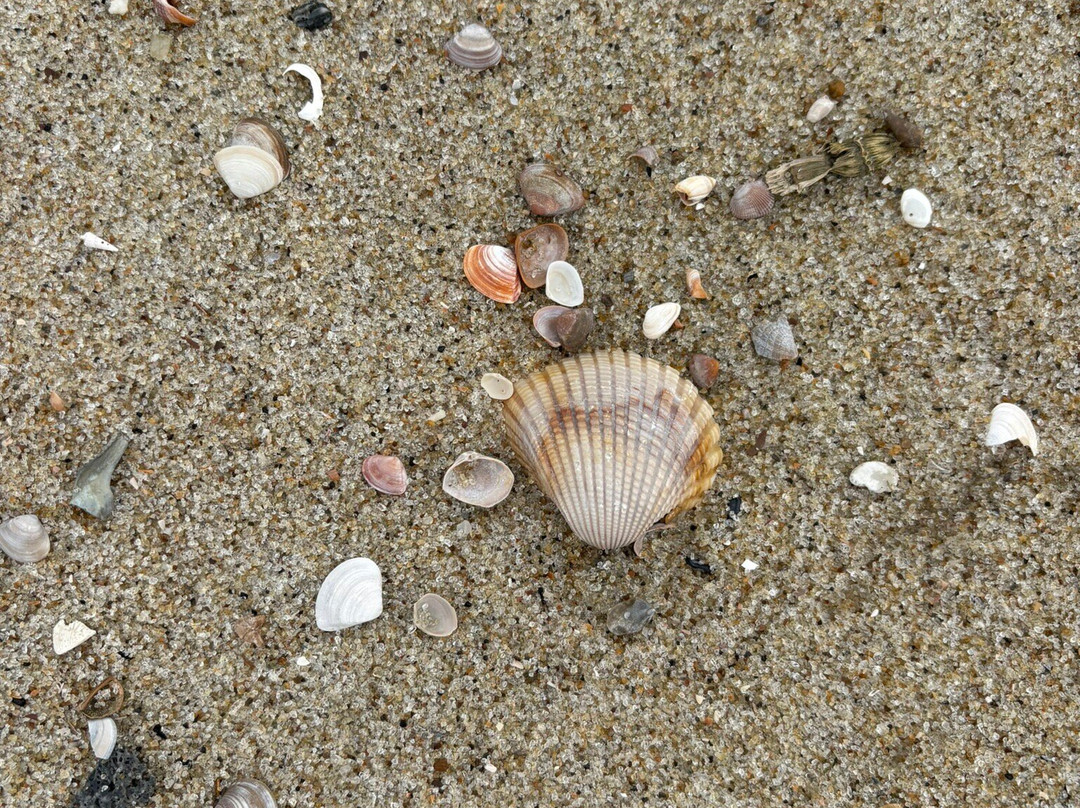 Mid Beach-泰碧岛必去景点