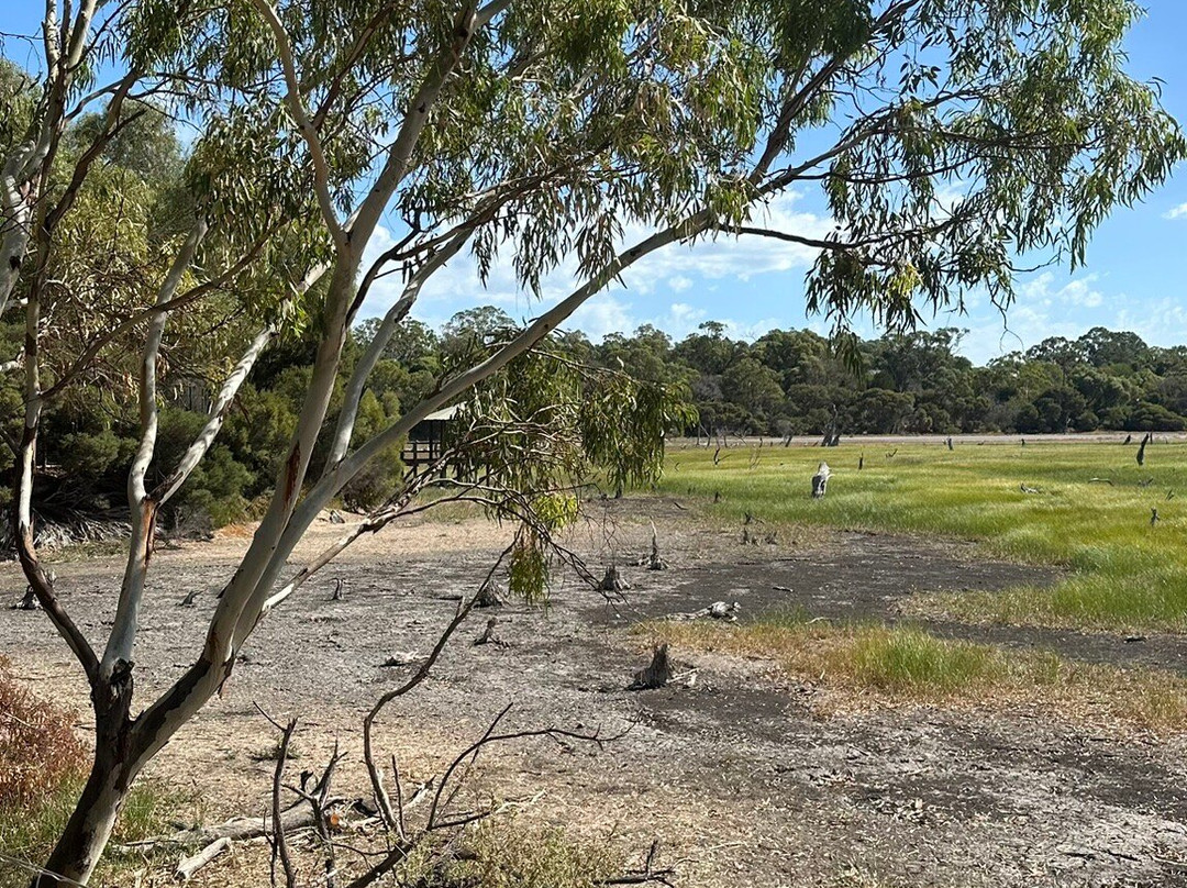 Lake Claremont-Claremont必去景点