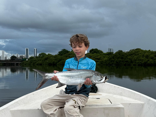 Recife Tarpon-累西腓必去景点