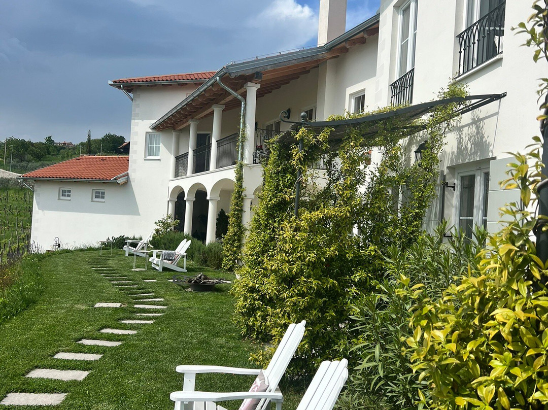 Peterc Vineyard Estate-Kojsko必去景点