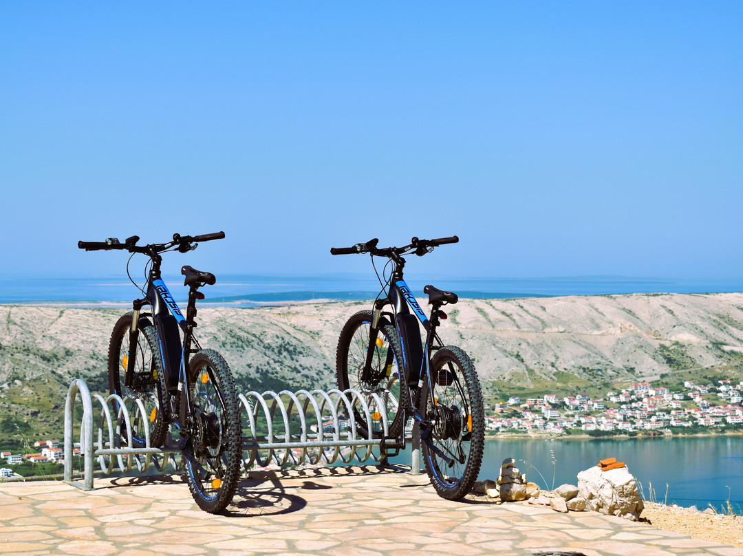 800 Sport Rent