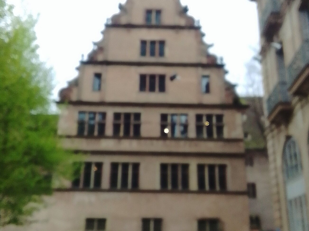 Musée de l'Œuvre Notre-Dame景点图片