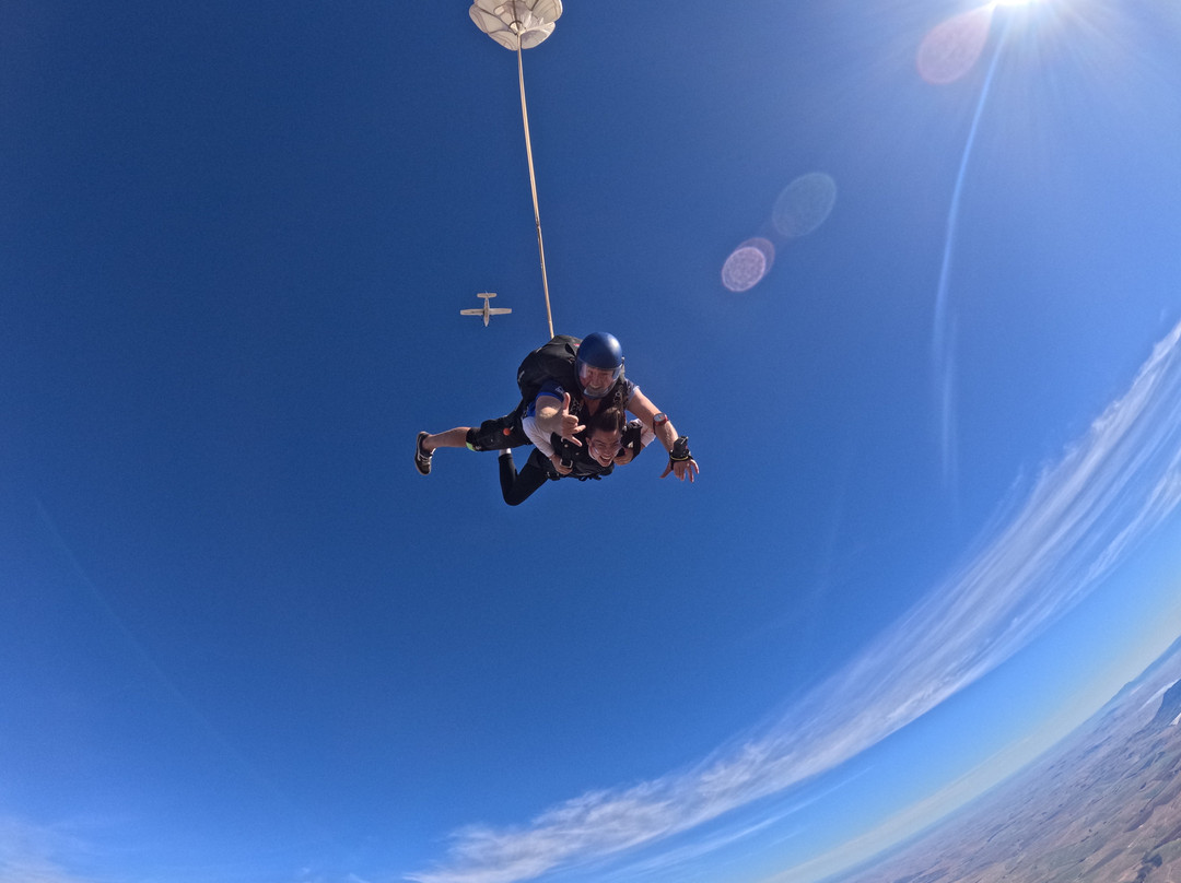 Skydive Two Oceans-惠灵顿必去景点