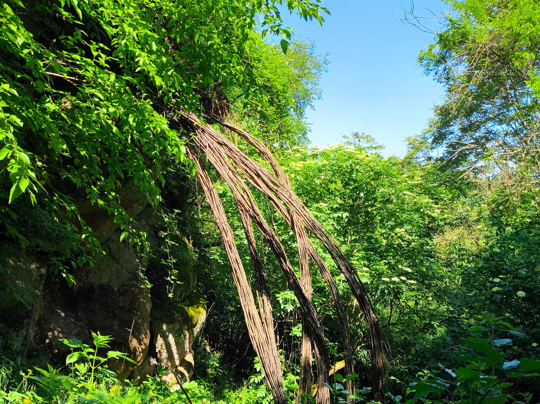 Opera Bosco - Museo di Arte nella Natura-Calcata必去景点