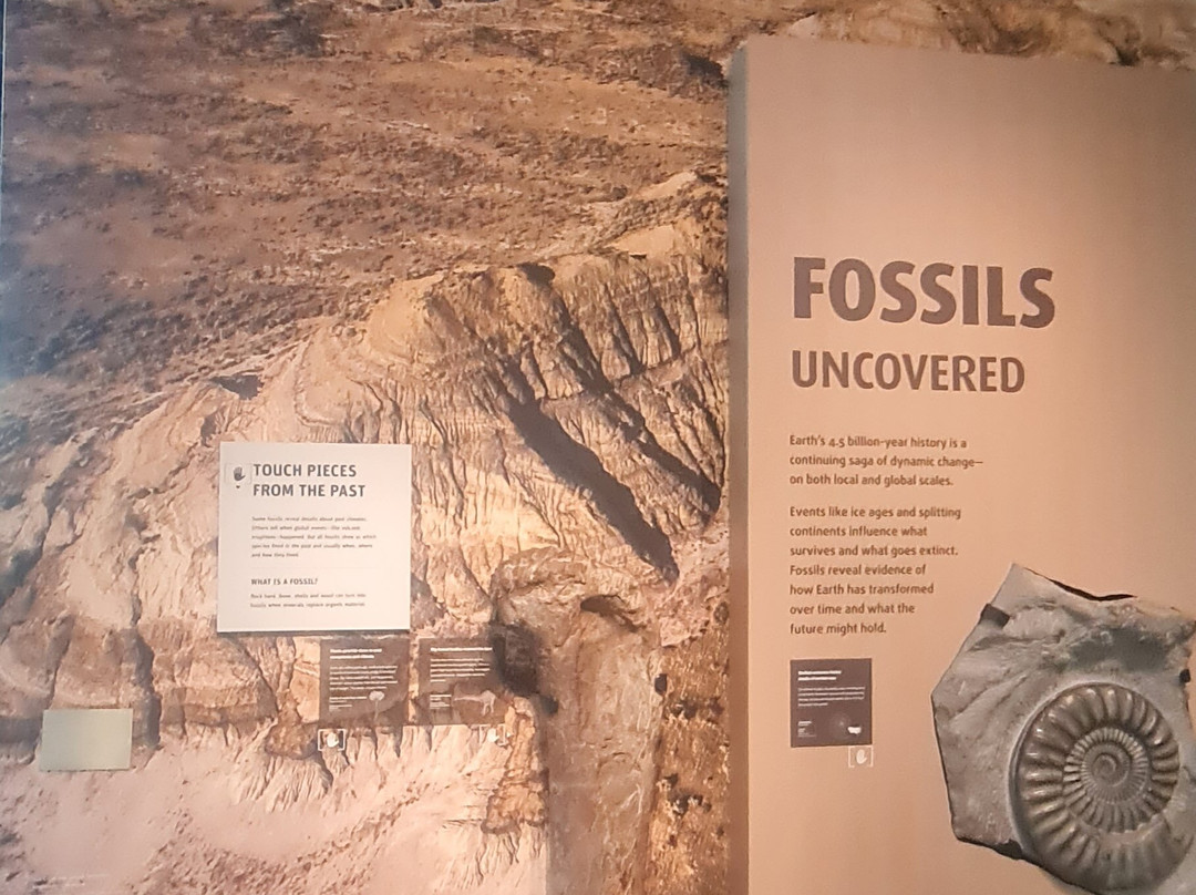 伯克自然历史和文化博物馆-西雅图必去景点