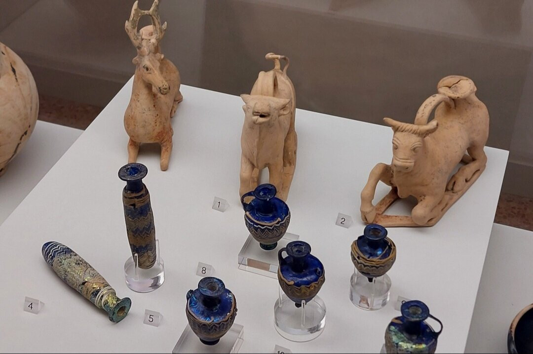 Museo Archeologico Nazionale景点图片