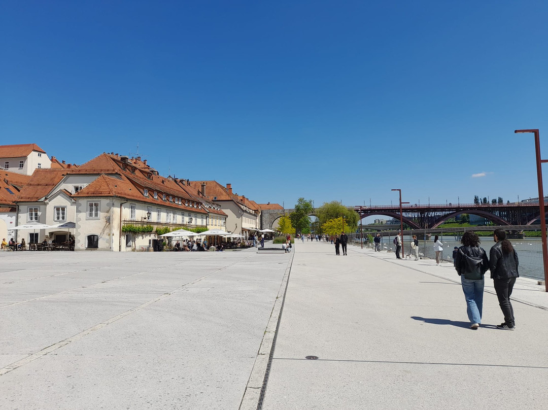 Lent - the Oldest Part of the City of Maribor-马里博尔必去景点