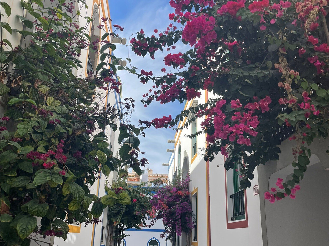 Puerto De Mogán景点图片