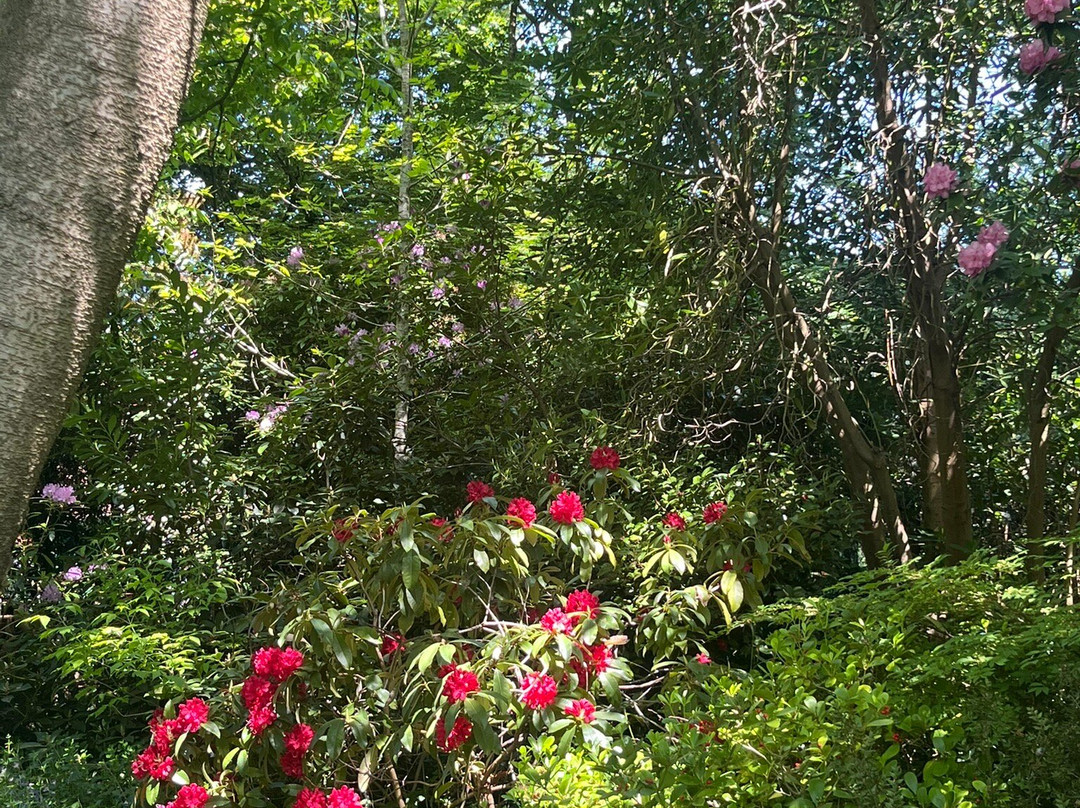 Cheslyn House & Gardens-沃特福德必去景点