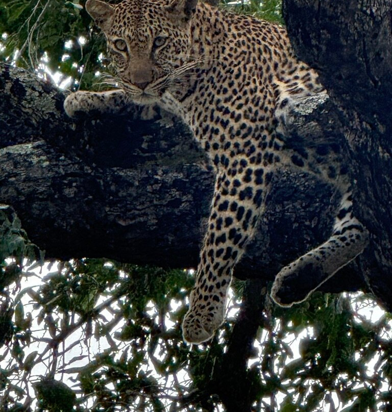 eyeseeAfrica-Green Point必去景点