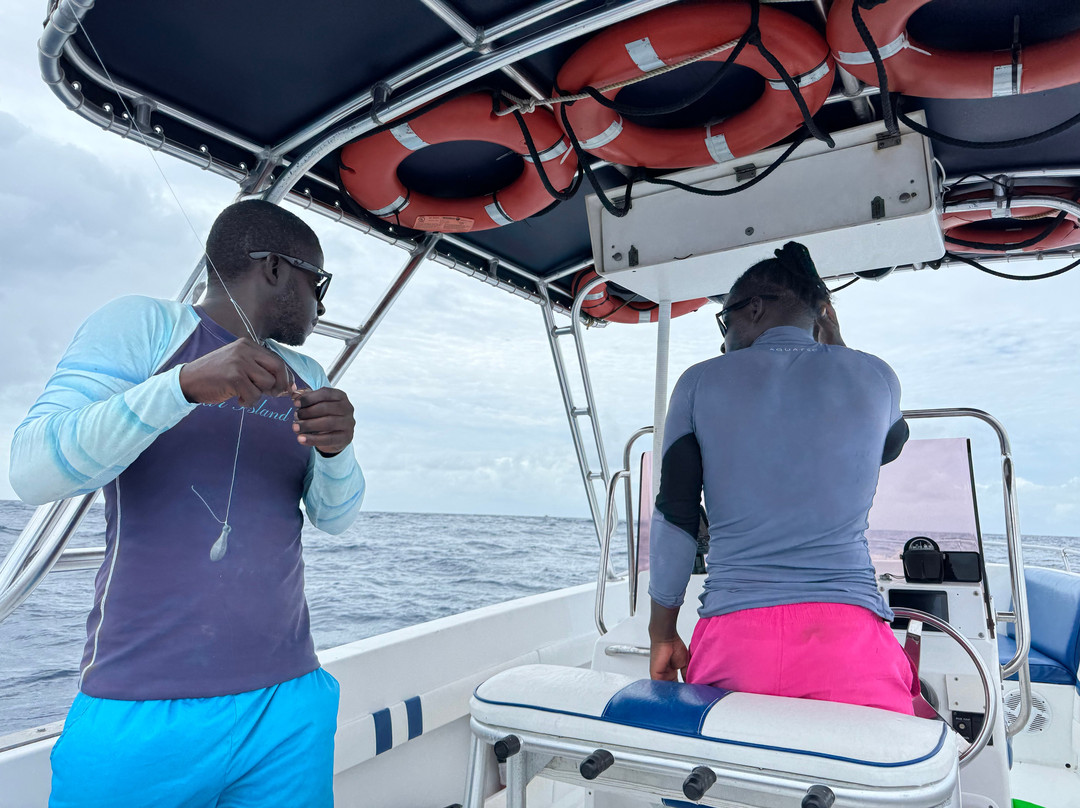 Sugar Island Tours-Jolly Harbour必去景点