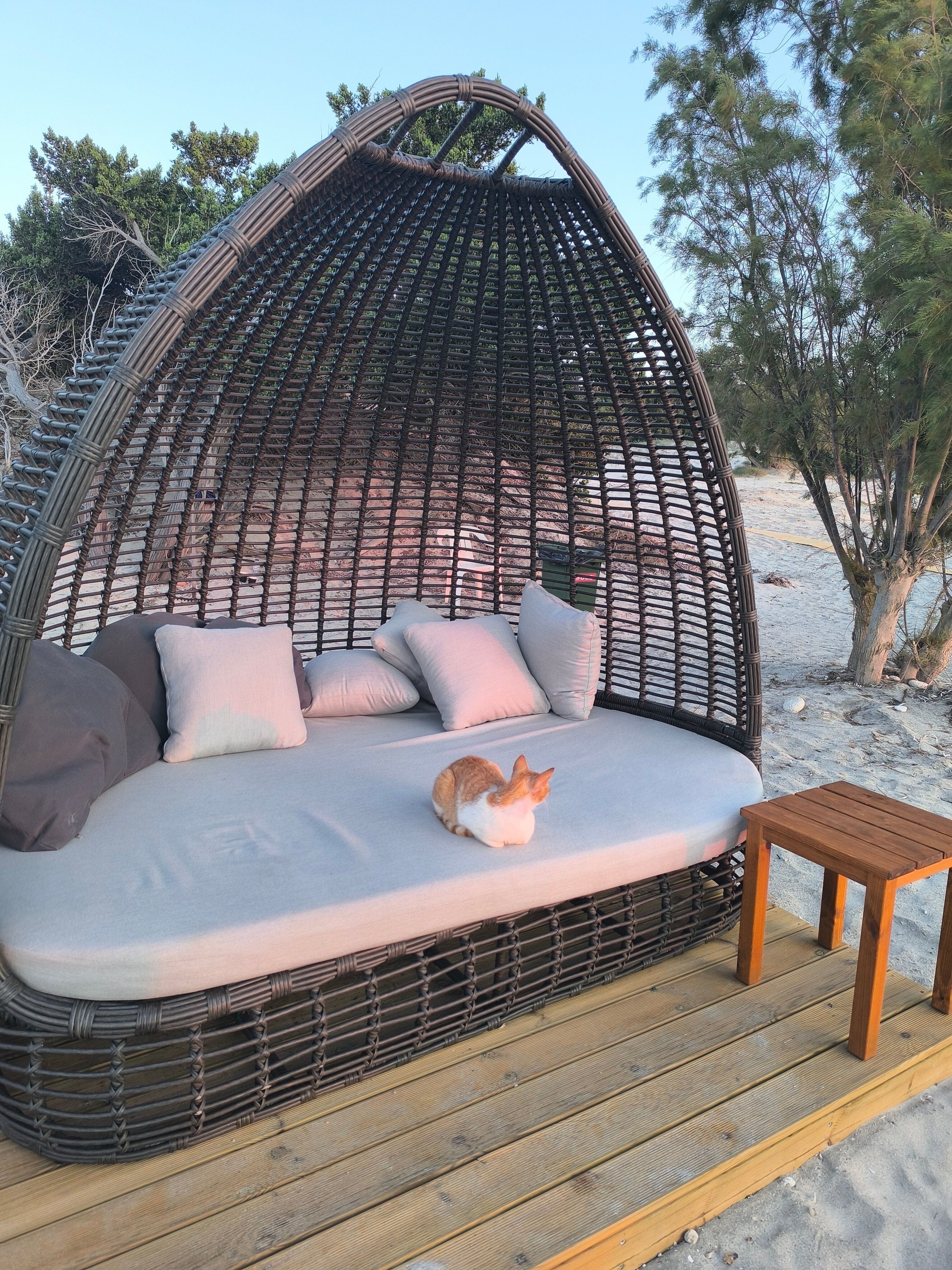 Achilleas Beach Hotel Adults Only-泳池