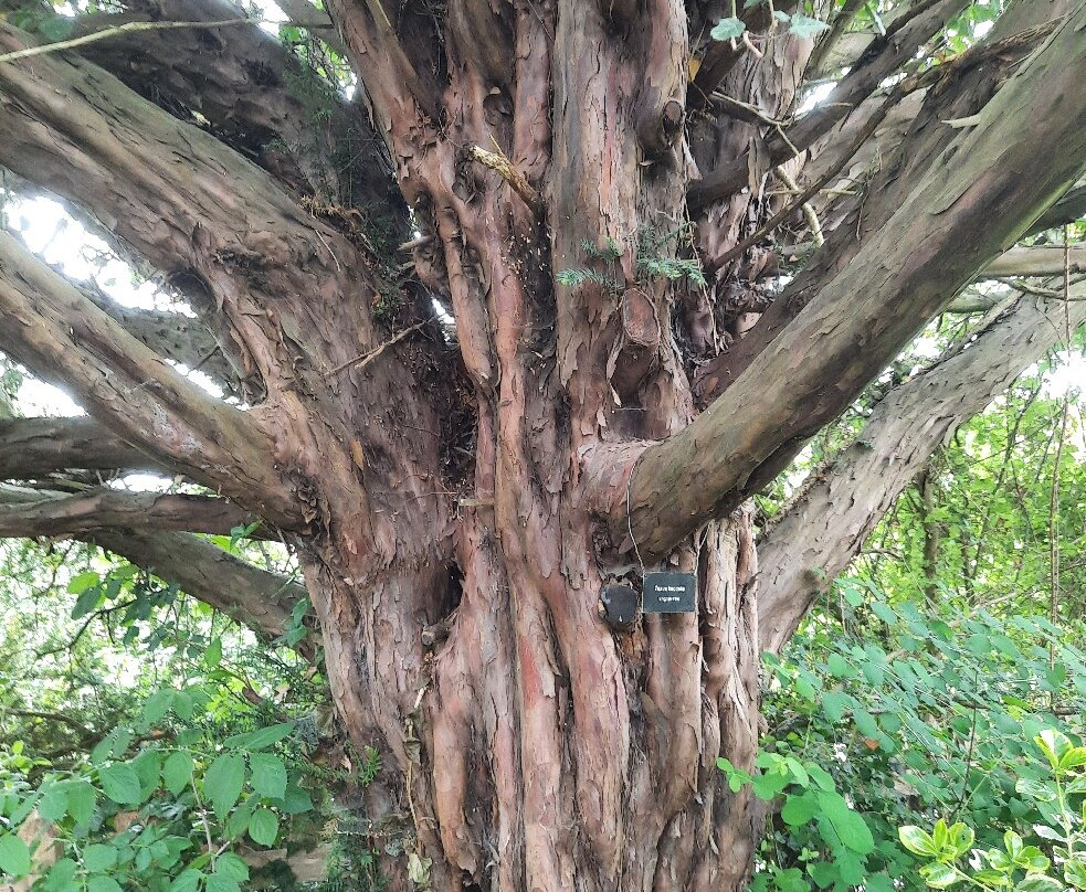 The Firs-Upper Broadheath必去景点