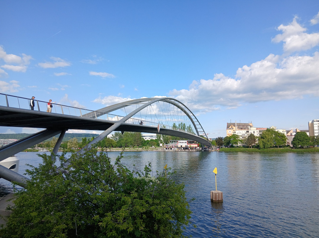 BASEL BY BIKE-巴塞尔必去景点