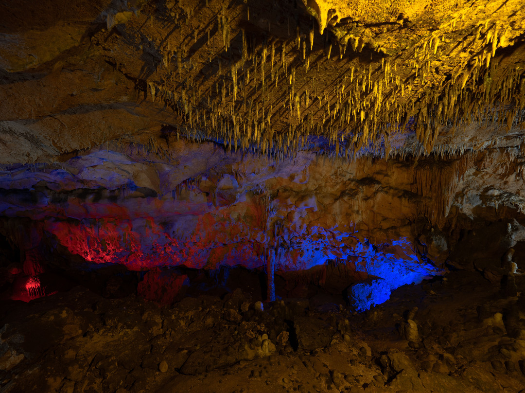 Florida Caverns State Park-Marianna必去景点