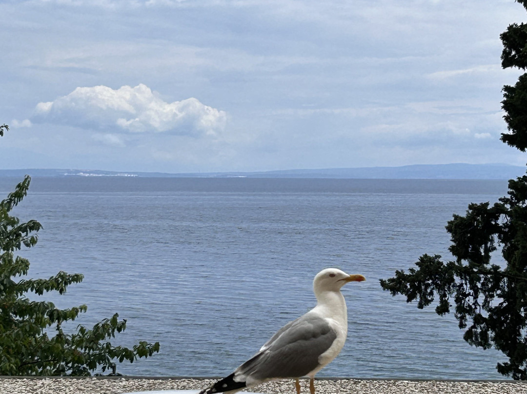 Hotel Lungomare Opatija - Liburnia主图