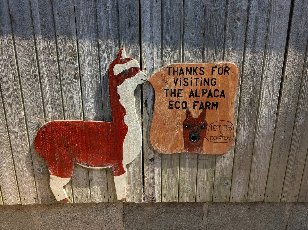 Alpaca Eco Farm景点图片