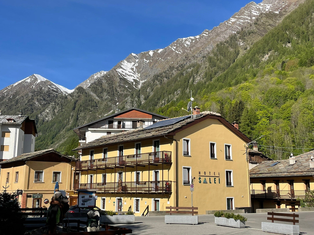 Hotel Salei主图