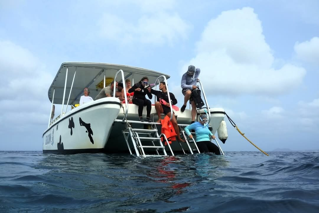 Sea Cow Snorkeling Bonaire-Kralendijk必去景点