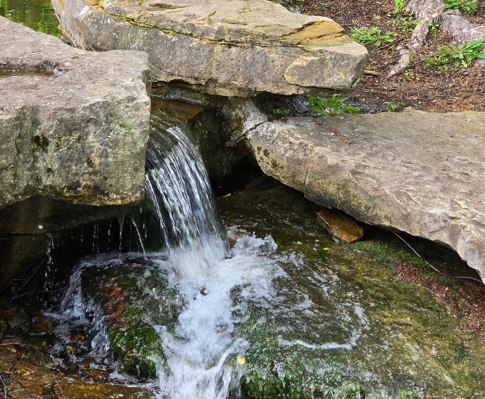 Cox Arboretum MetroPark-Kettering必去景点