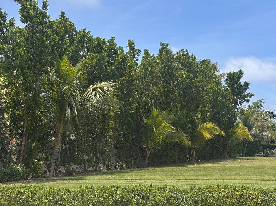 Captain Alan's Boat Charters-Oyster Pond必去景点
