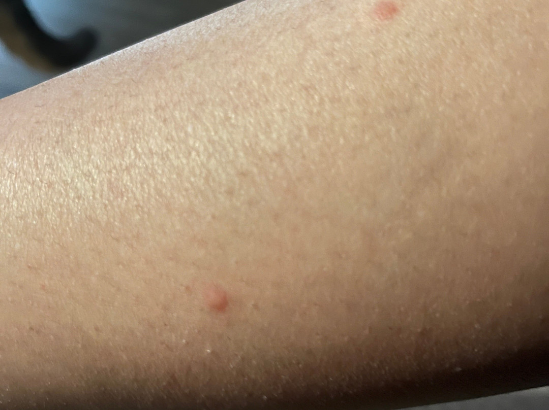 Candlewood Suites Boston North Shore - Danvers by IHG主图