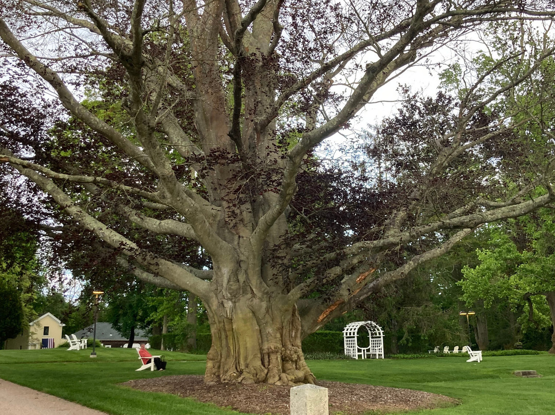 Margin Street Inn主图