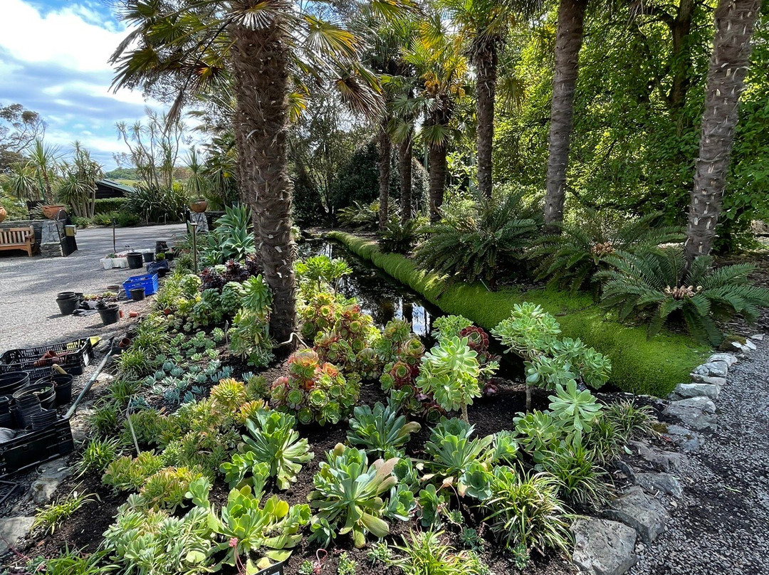 Logan Botanic Garden景点图片