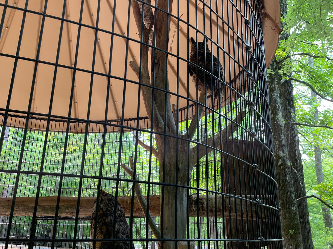 Dauset Trails-Jackson必去景点