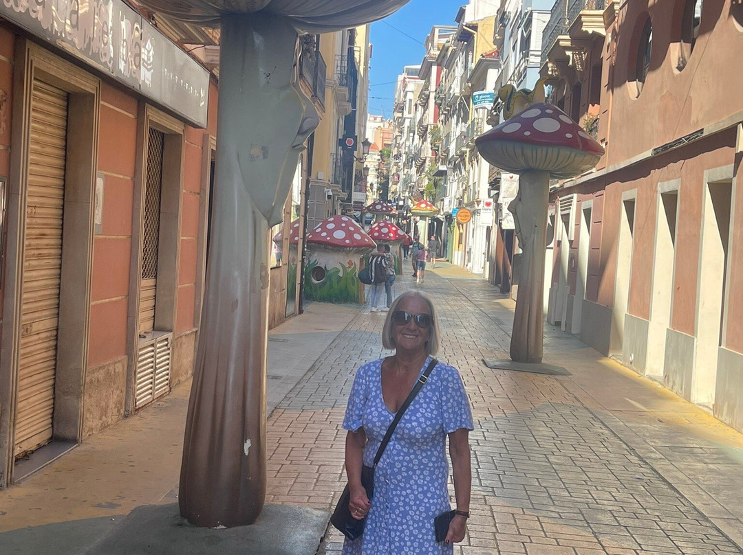Calle de Las Setas景点图片