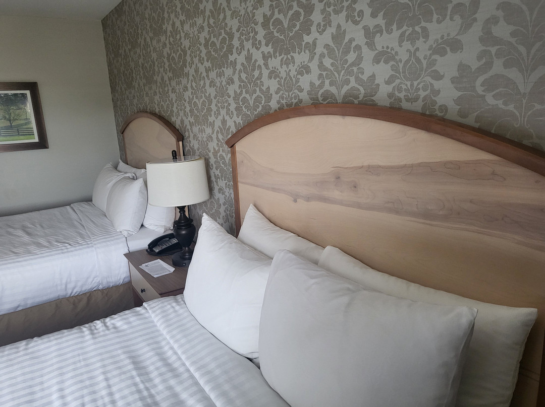 Appomattox Inn & Suites主图