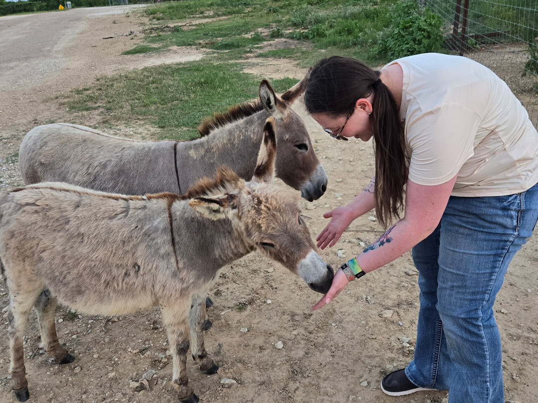 Blue Hills Ranch主图