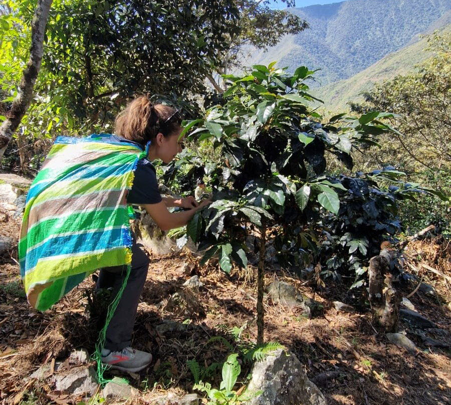 Onaya Peru Travel & Healing-Santa Teresa必去景点