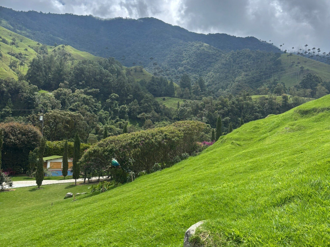 Johani Gaviria Guided Tours-佩雷拉必去景点