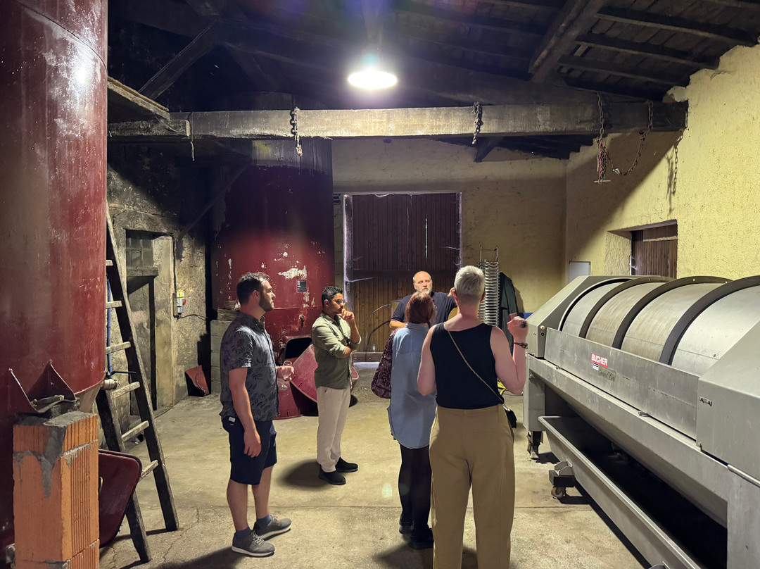 Domaine de La Higuere景点图片