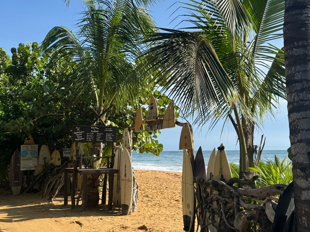 Oasis Bluff Beach主图