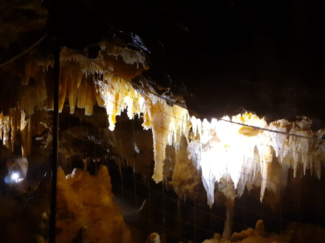 Grotte du Grand Roc景点图片